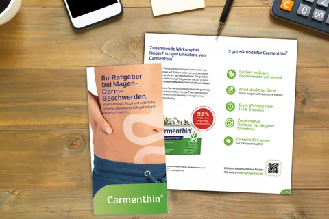 Ratgeber bei Magen-Darm-Beschwerden von Carmenthin®