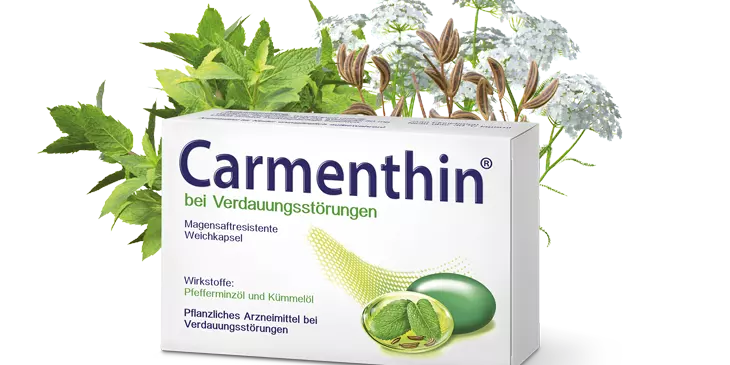 Carmenthin Packungsabbildung mit Pfefferminz & Kümmel-Pflanze
