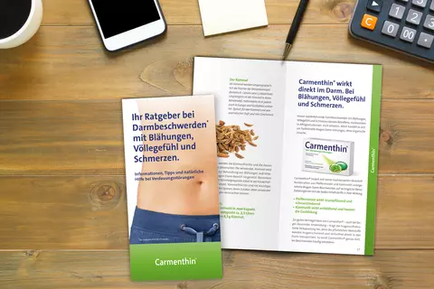 Ratgeber bei Magen-Darm-Beschwerden von Carmenthin®