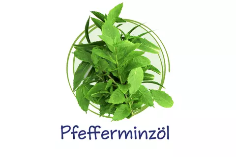 Icon Pfefferminzoel
