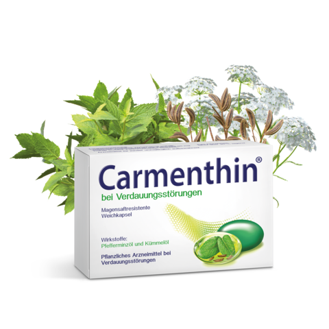 Carmenthin Packungsabbildung mit Pfefferminz & Kümmel-Pflanze