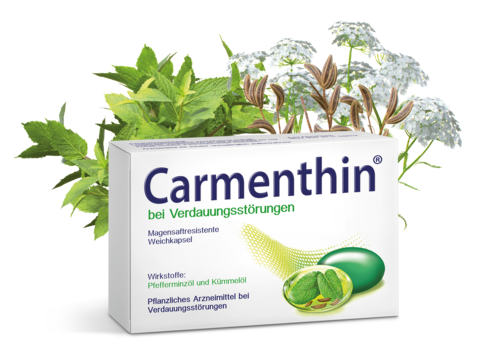 Carmenthin Packung mit Pfefferminze- und Kümmelpflanzen