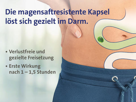 Schaubild zur Wirkweise von Carmenthin® 