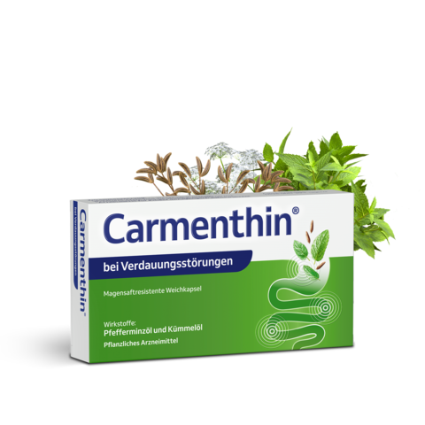 Carmenthin Packungsabbildung mit Pfefferminz & Kümmel-Pflanze