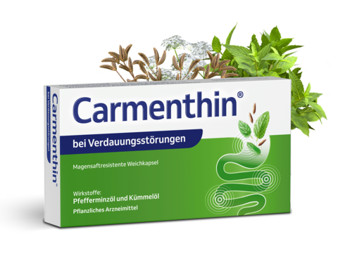Carmenthin Packung mit Pfefferminze- und Kümmelpflanzen