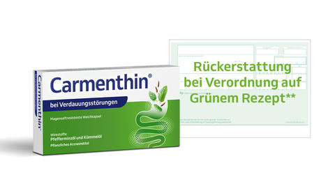 Carmenthin Verpackung mit grünem Rezept
